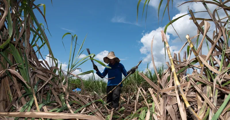 Colombia, entre los países más expuestos de Latinoamérica al impacto económico de El Niño