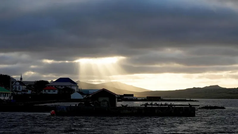 Desafío de Milei a Londres por las Malvinas surge mientras "la explotación hidrocarburífera continúa", dice un experto