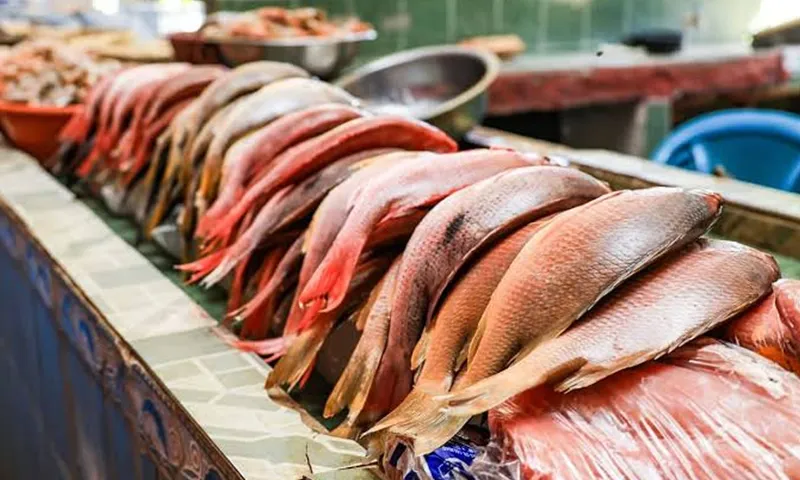 Mariscos llegan al mercado Israel Lewites por buenas condiciones para la pesca