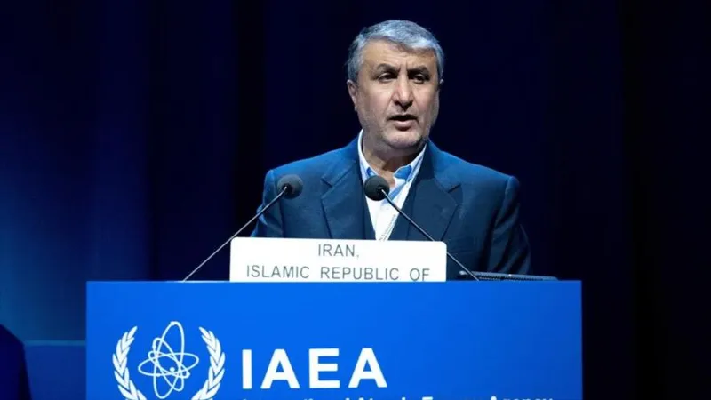 Bloomberg: EEUU impide al jefe nuclear iraní asistir a conferencia de AIEA
