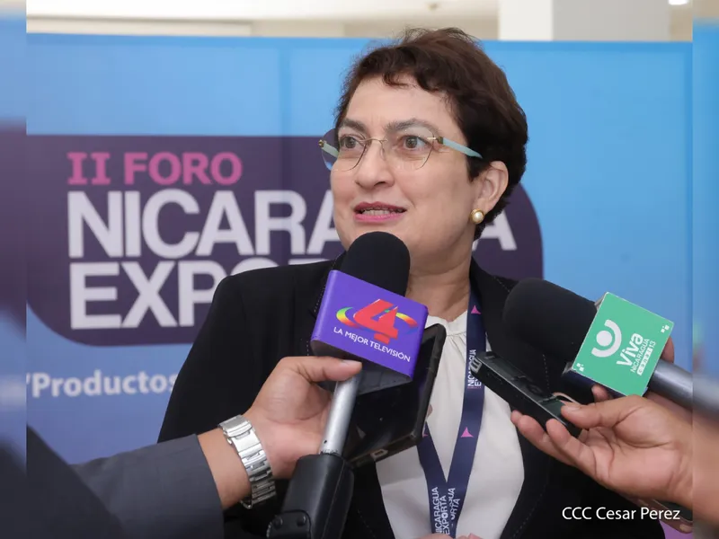 ONUDI: Nicaragua avanza en el desarrollo de su industria