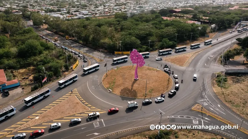 Nueva flota de buses Yutong llega para reforzar el transporte municipal e interurbano