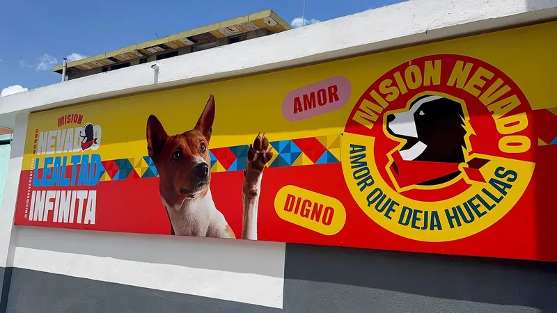 De los escombros a un hogar: este es el albergue de alta tecnología para mascotas afectadas por sismos en Venezuela