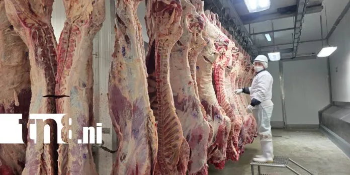 Matadero San Martín ampliará operaciones ante creciente demanda internacional