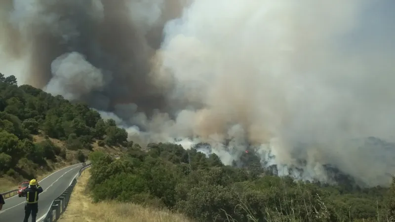 Tim Cook y Apple prometen ayuda a los afectados por los incendios de España
