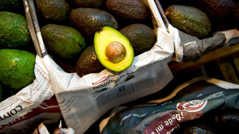 El aguacate es un nuevo frente de presión política de Washington hacia México, afirman expertos