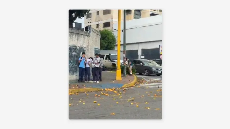 “lluvia de mangos” por fuertes vientos en Caracas