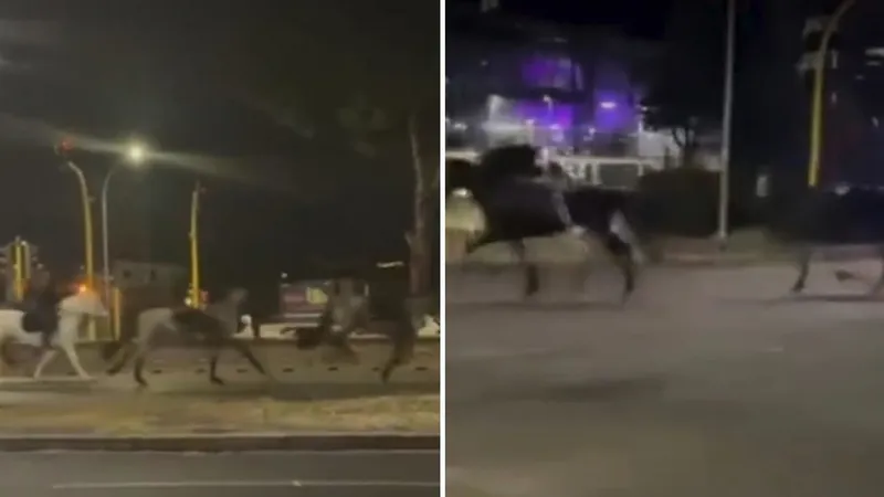 VIDEOS: Una estampida de caballos crea el caos en las avenidas de esta capital europea