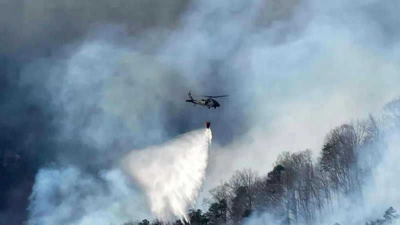 Fuerte incendio forestal en el oeste de EEUU fue provocado, según reportes