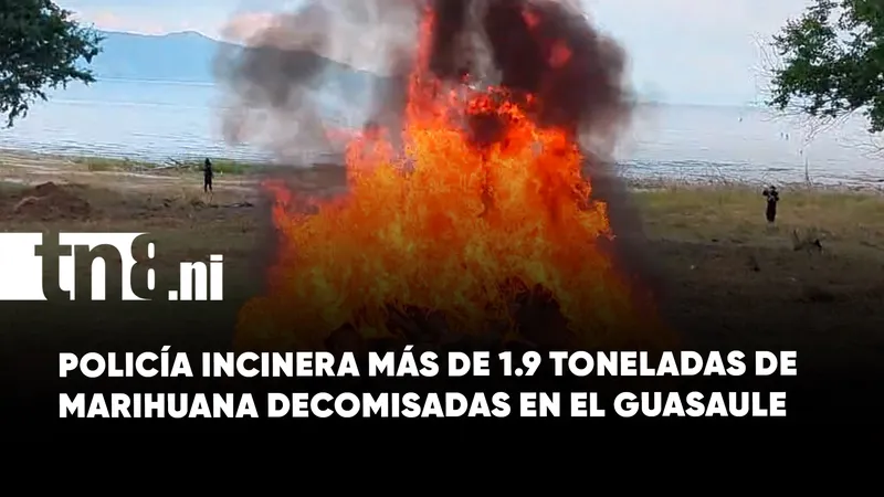 Policía incinera más de 1.9 toneladas de marihuana decomisadas en El Guasaule