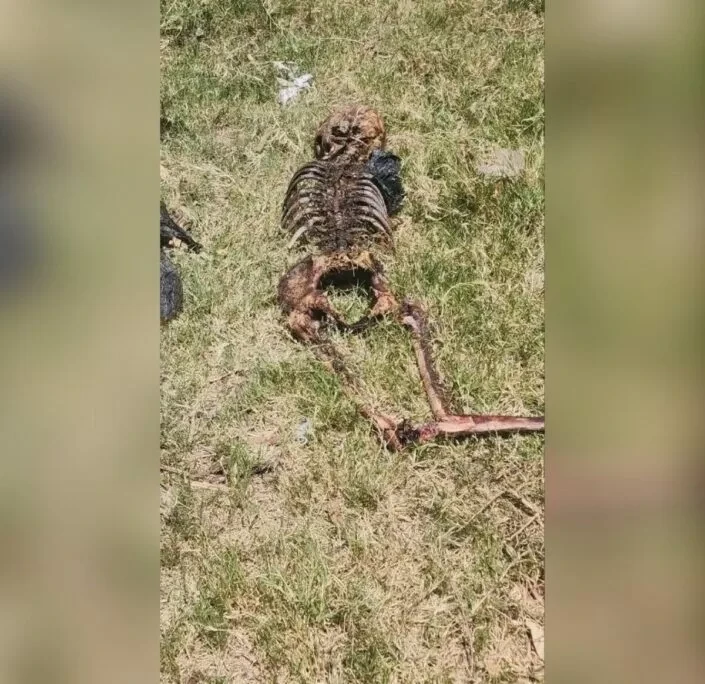 Identifican osamenta encontrada en Nueva Segovia y capturan a sospechoso del crimen