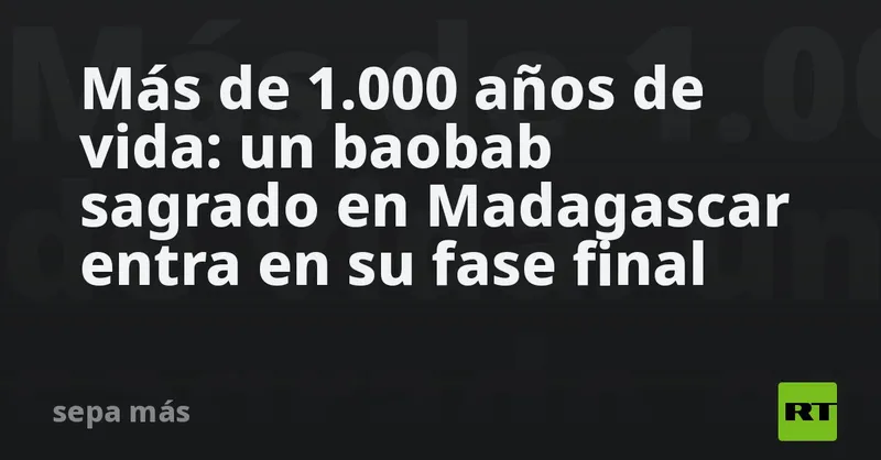 Más de 1.000 años de vida: un baobab sagrado en Madagascar entra en su fase final
