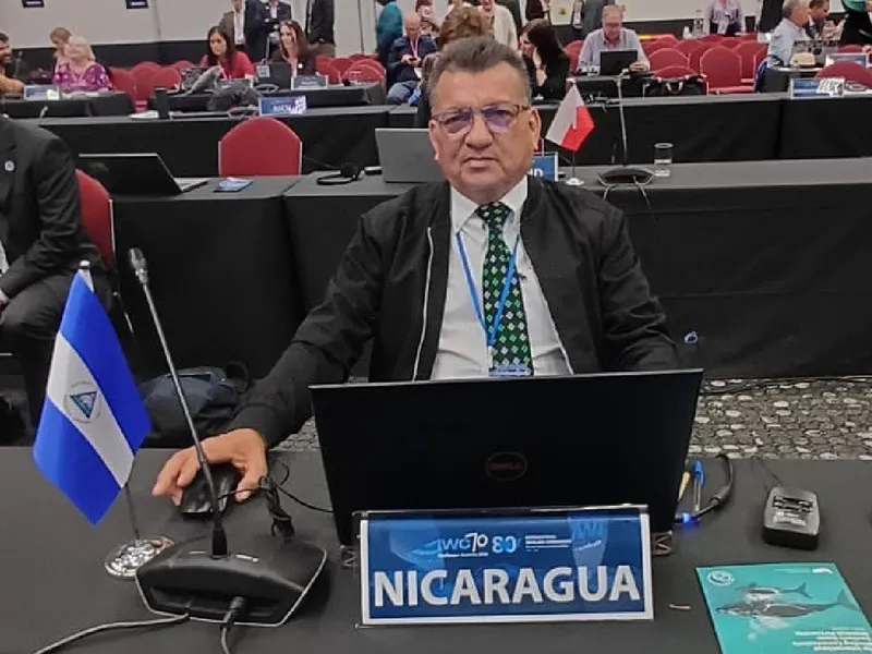 Comisión Ballenera Internacional