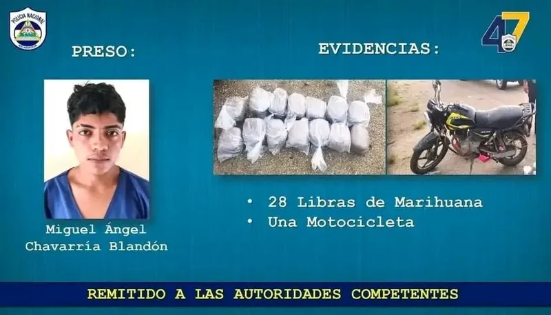 Autoridades capturan a sujeto con 28 libras de marihuana en Quilalí, Nueva Segovia