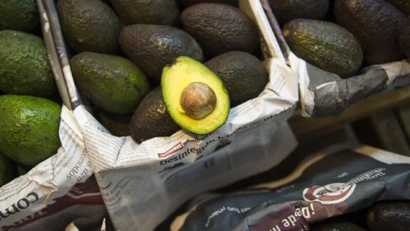 Despliegan a más de 1.500 elementos de seguridad en zonas aguacateras del occidente de México