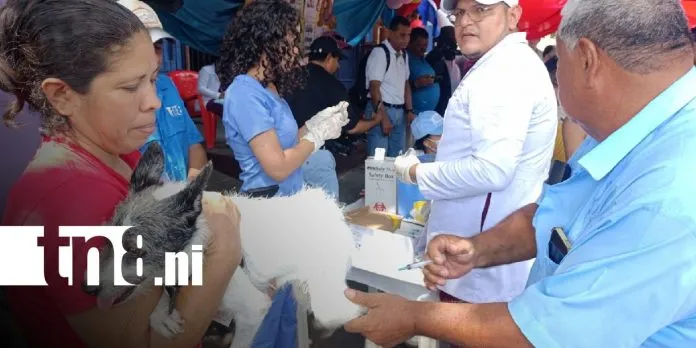 Vacunación antirrábica canina llegará a barrios y comunidades de toda Nicaragua