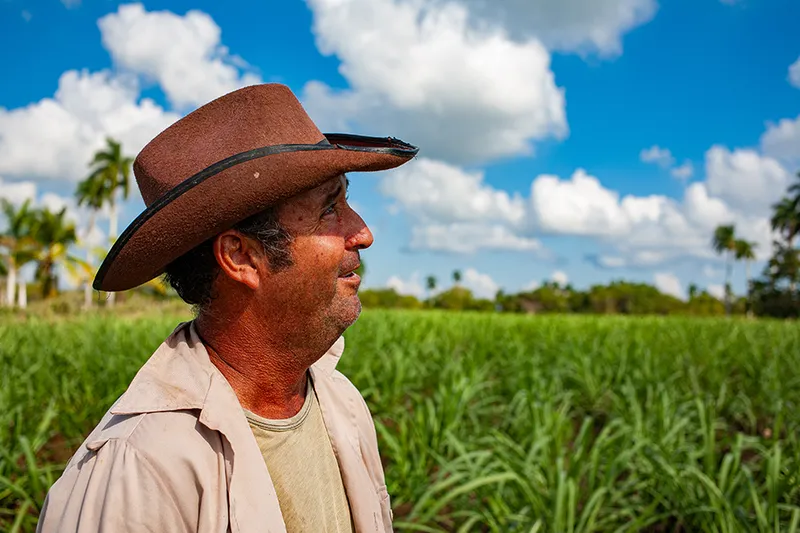 ¿Cómo las nuevas transformaciones económicas pueden reactivar la agricultura cubana? (+Video)