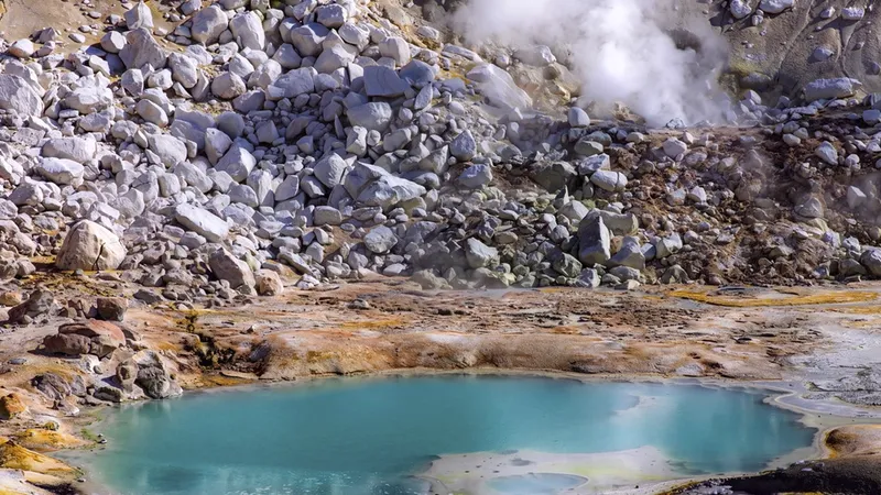 «Supera los límites de lo que creíamos posible»: Hallan una ameba que desafía el calor letal