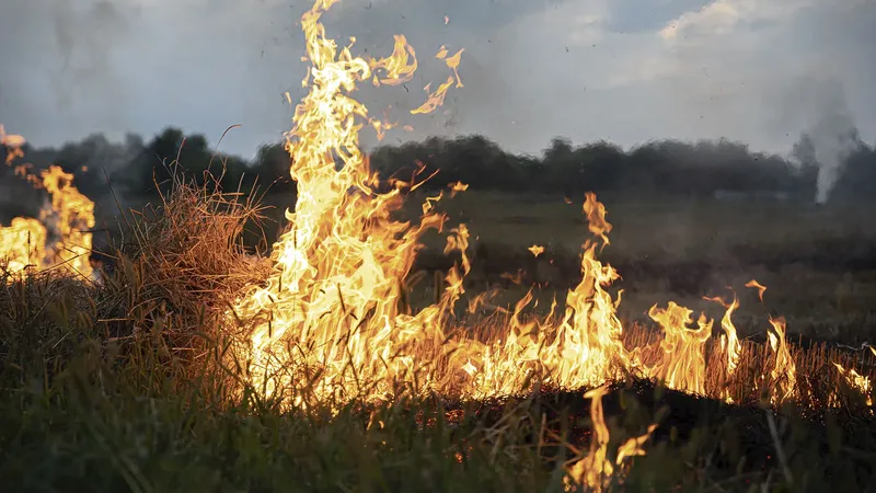 Estos son los mapas para seguir los incendios forestales en directo de España