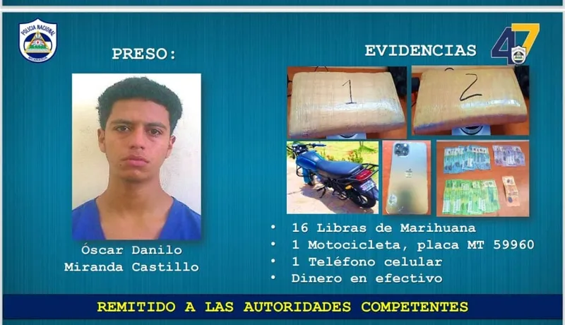 Incautan 24 libras de marihuana en Estelí