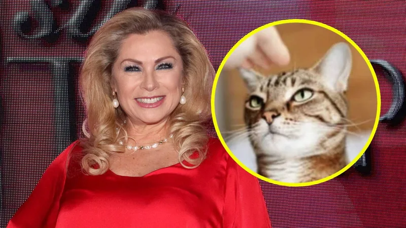 Tras escándalo de Pedro Sola, Lety Calderón aclara lo que dijo sobre “ATROPELLAR GATOS”