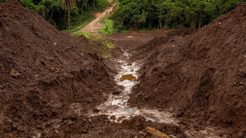 "Un posible vistazo al futuro": Detectan un nuevo peligro generado por el calentamiento global