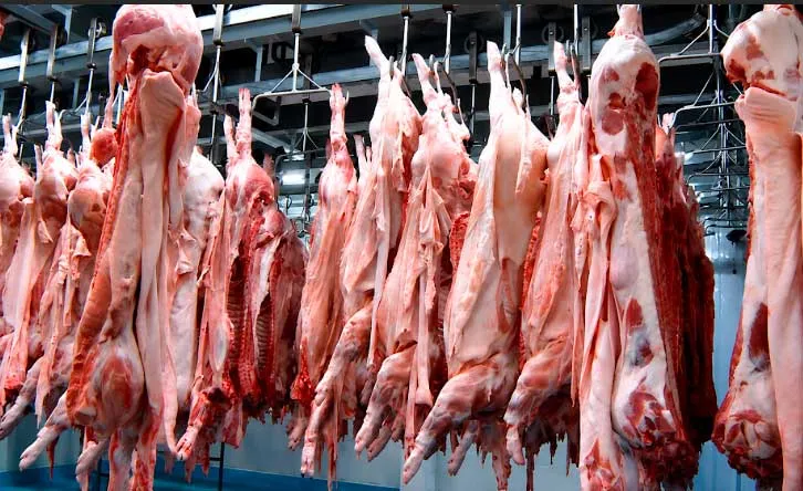 Producción de carne porcina asegurada