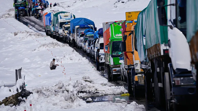 Nevada desata emergencia en Bolivia por el frío extremo