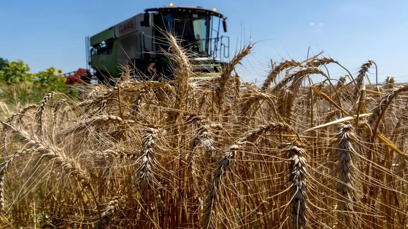 Europa se niega a conceder a Kiev fondos adicionales para los agricultores, informan medios
