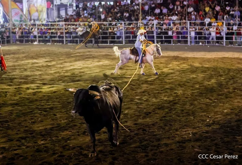 Feria Ganadera Managua 2026 arranca este 2 de agosto