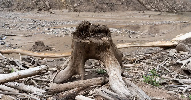 El Súper El Niño ya está aquí y amenaza alimentos y energía: qué significa para América Latina