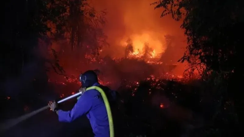 Indonesia combate incendios y una tóxica bruma que cubre Sumatra