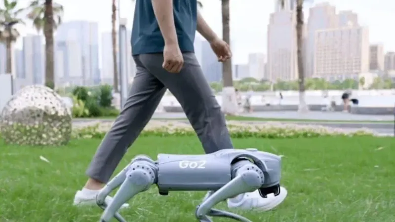 Una empresa de Estados Unidos está contratando paseadores de perros robot por 20 dólares la hora. El motivo revela un problema que la IA todavía no sabe resolver