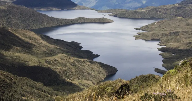 ¿Qué está pasando en Santurbán? Gobierno De la Espriella revocó declaratoria de reserva