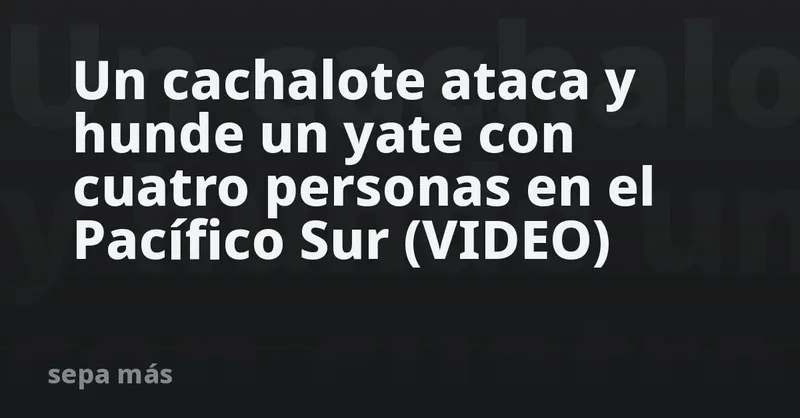 Un cachalote ataca y hunde un yate con cuatro personas en el Pacífico Sur (VIDEO)