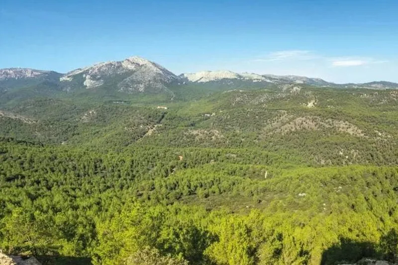 Hace 147 años, en Murcia murieron 761 personas. Construir una montaña a escopetazos evitó que volviese a ocurrir