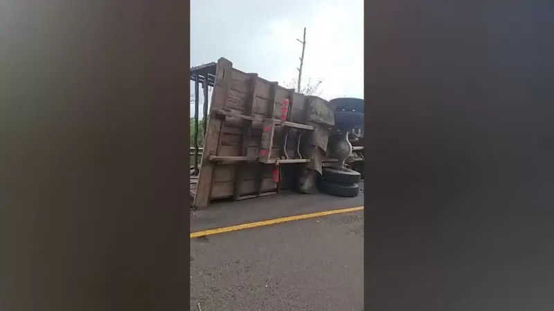Vuelco en carretera El Ayote – Santo Domingo deja un lesionado y varias reses muertas