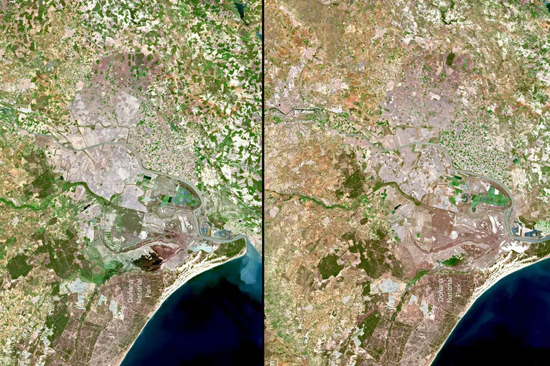 En 2023, imágenes satelitales demostraron que Doñana estaba seco. Tres años de lluvia después, sigue en alerta roja