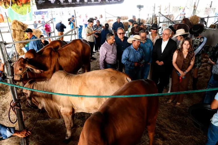 Inauguran Feria Ganadera Internacional