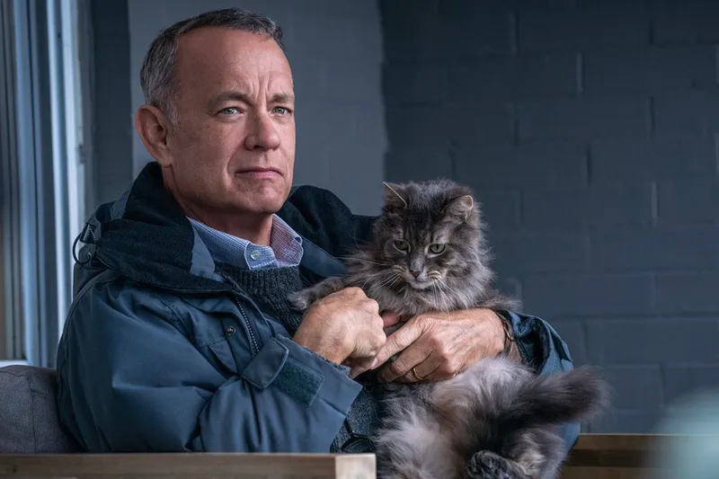 Tom Hanks cree que los Oscar no necesitan una categoría para interpretaciones de voz. "Podrían ganar en la categoría de mejor actor"