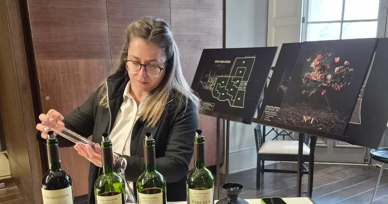 La era del vino por parcelas: cómo Don Melchor dividió su viñedo y creó un ícono chileno