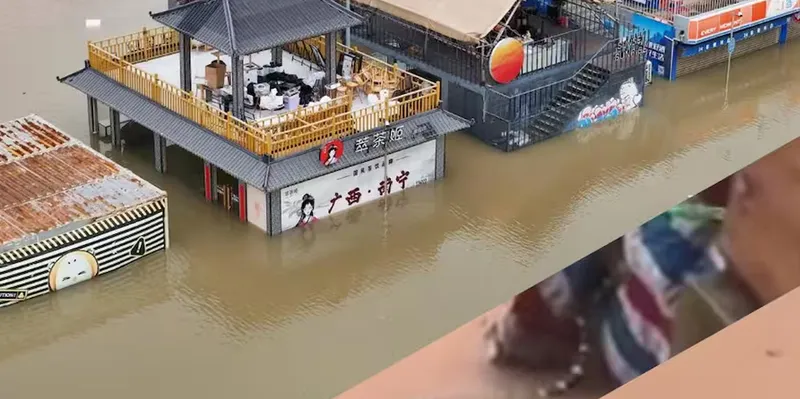 Cientos de serpientes venenosas escapan de criaderos tras inundaciones en China