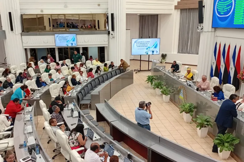 Propuesta de ley creará designados presidenciales