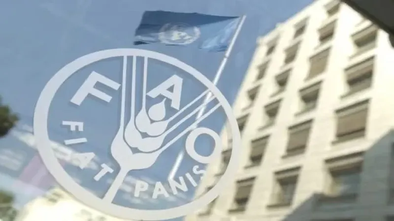 Los precios globales de alimentos se estancan en junio