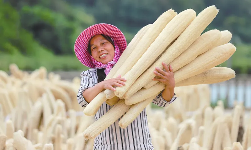 Productos agrícolas chinos de procesamiento profundo impulsan un comercio de mayor valor