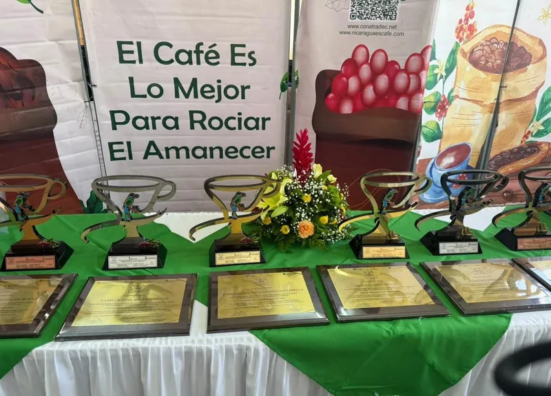 Café nicaragüense rompe récord y se cotiza a U$140 la libra en la Taza de Excelencia 2026