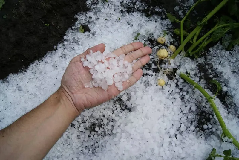 Lluvias y granizo afectan varios puntos de Heredia en Costa Rica
