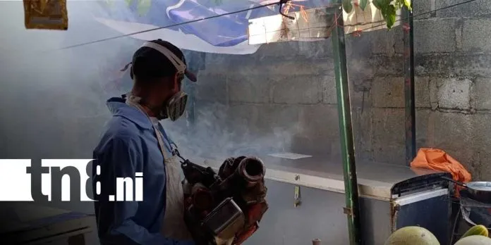 Prevención y fumigación: la estrategia del MINSA para proteger Managua