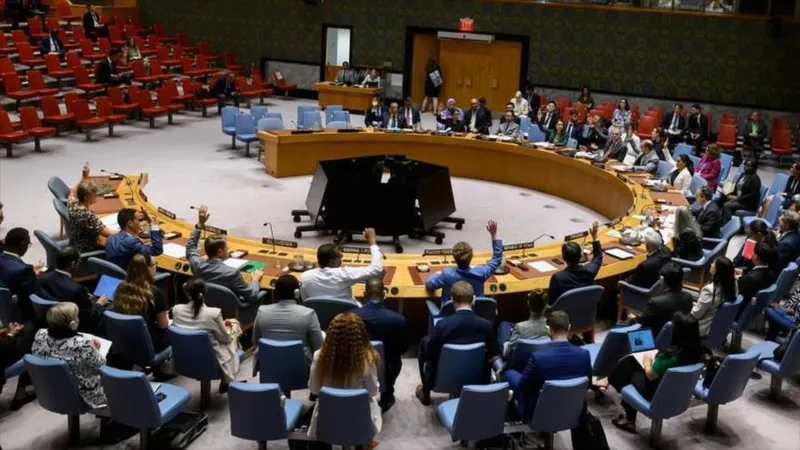 Ansarolá cuestiona la legitimidad del Consejo de Seguridad de la ONU