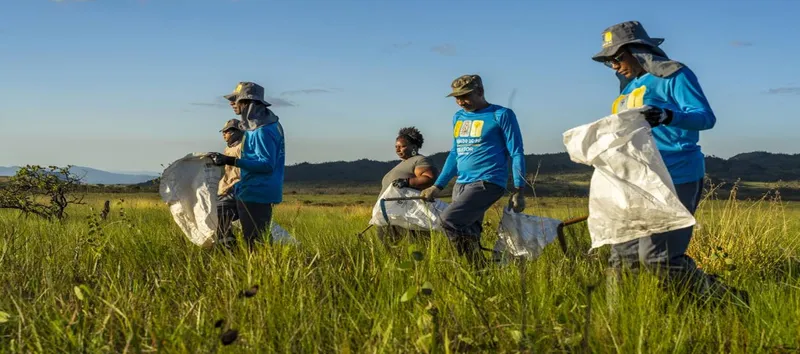 ONU reconoce iniciativa Araticum como referente mundial para restaurar el Cerrado de Brasil